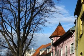 Mosonmagyar�v�r - a Thermal Hotel Superior Mosonmagyar�v�r aj�nl�s�val